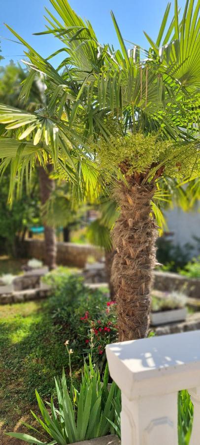 Apartment Garden & Sea ヴォロスコ エクステリア 写真
